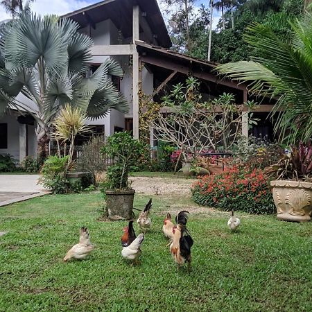 Casa Na Floresta Penedo  Exterior foto